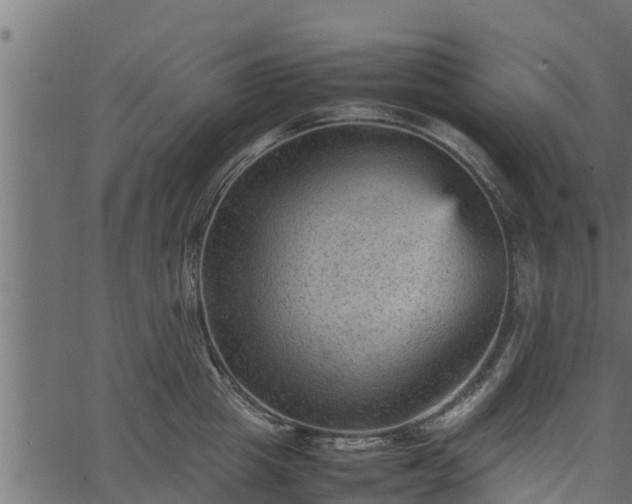 X0000066940857200603311415