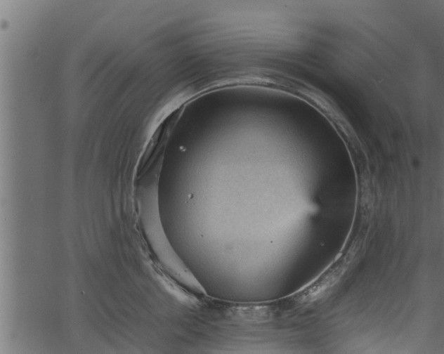 X0000066940858200603311415