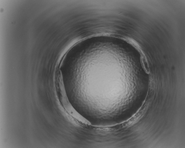 X0000066940859200603311415