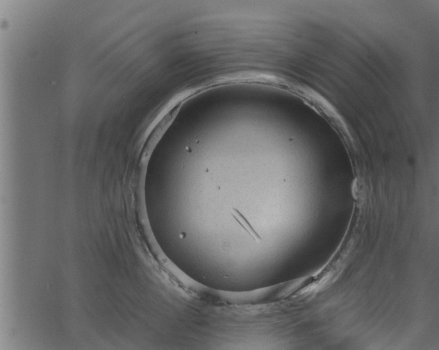 X0000066940860200603311415