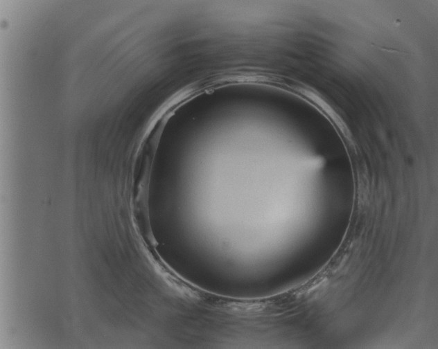 X0000066940861200603311415