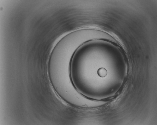 X0000066940862200603311415