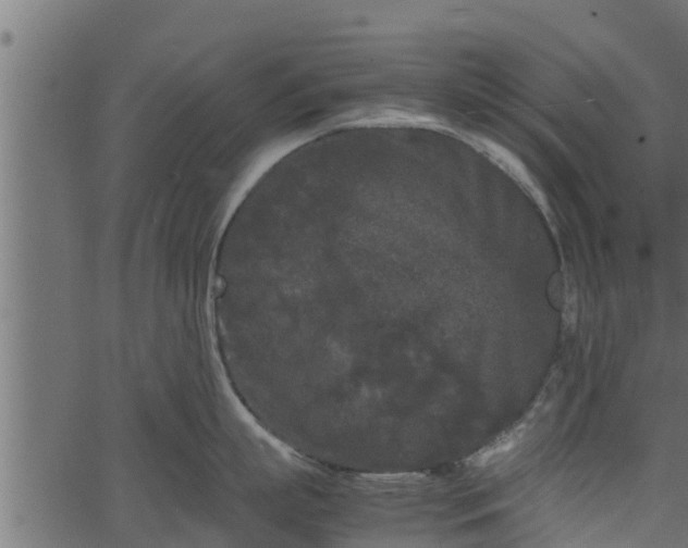 X0000066940863200603311415