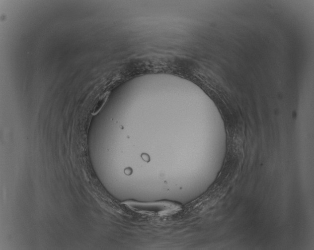 X0000066940865200603311415