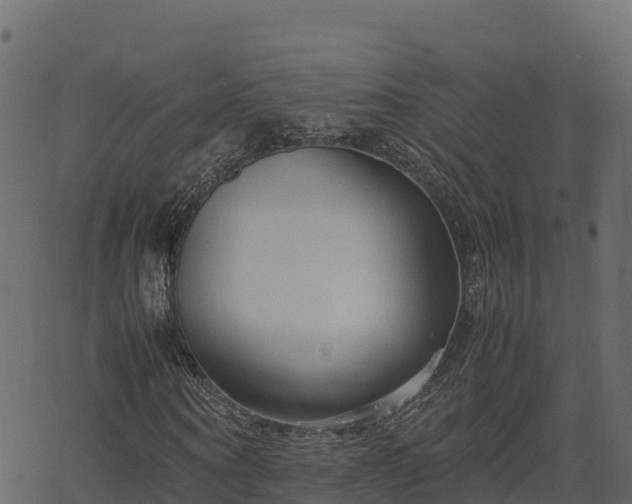 X0000066940866200603311415