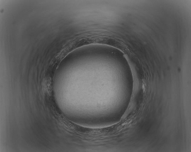 X0000066940867200603311414