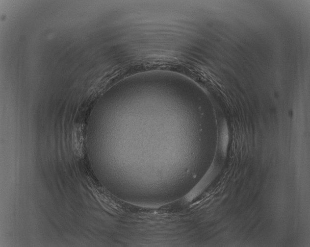 X0000066940868200603311414