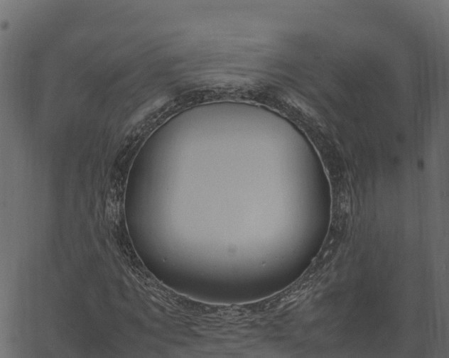 X0000066940869200603311414