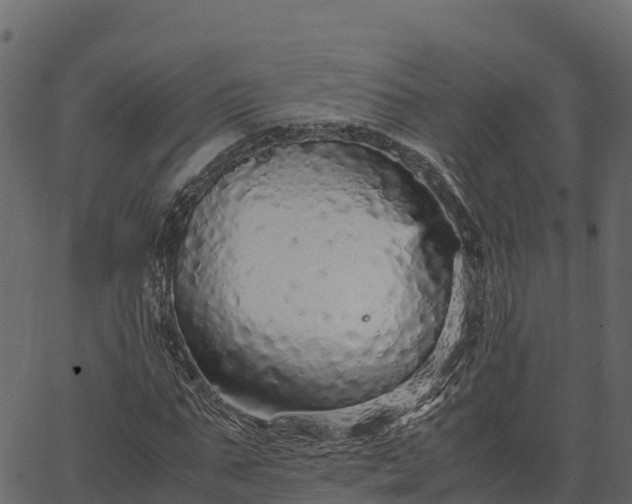 X0000066940871200603311414