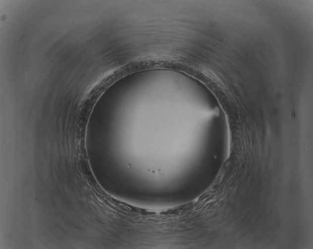 X0000066940872200603311414