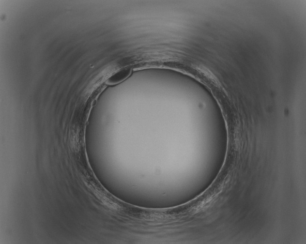 X0000066940873200603311414