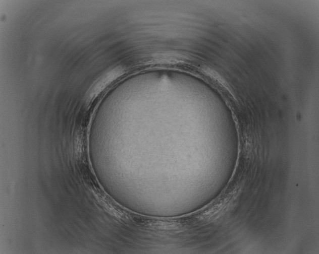 X0000066940874200603311414