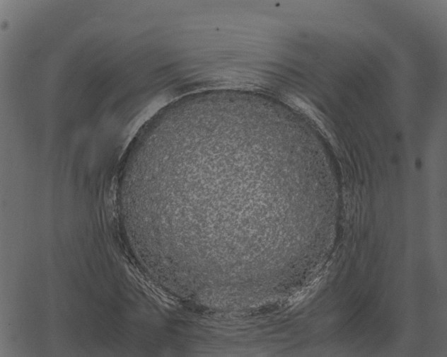 X0000066940875200603311414