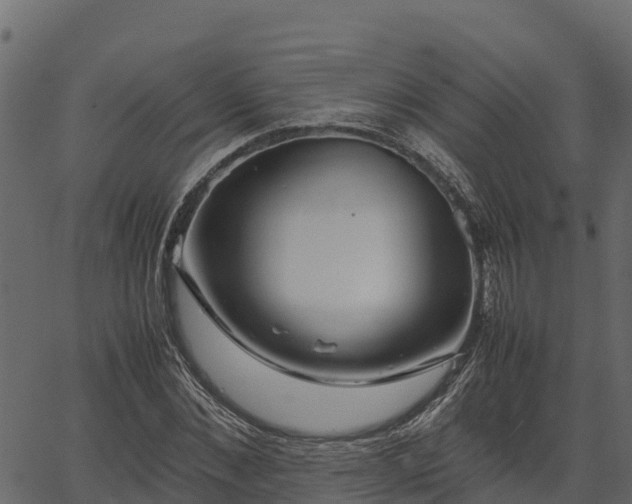 X0000066940876200603311414