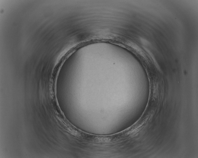 X0000066940878200603311414