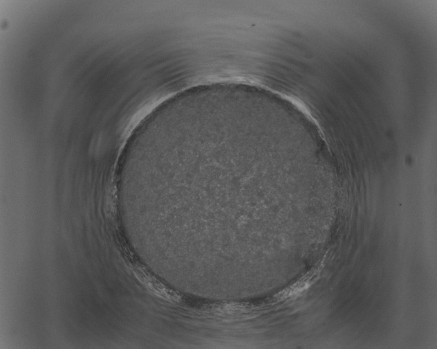 X0000066940879200603311414