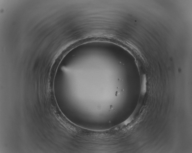 X0000066940880200603311414