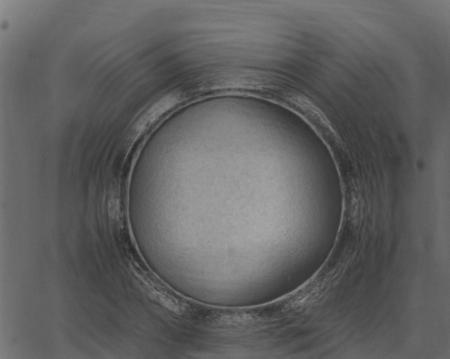 X0000066940882200603311414