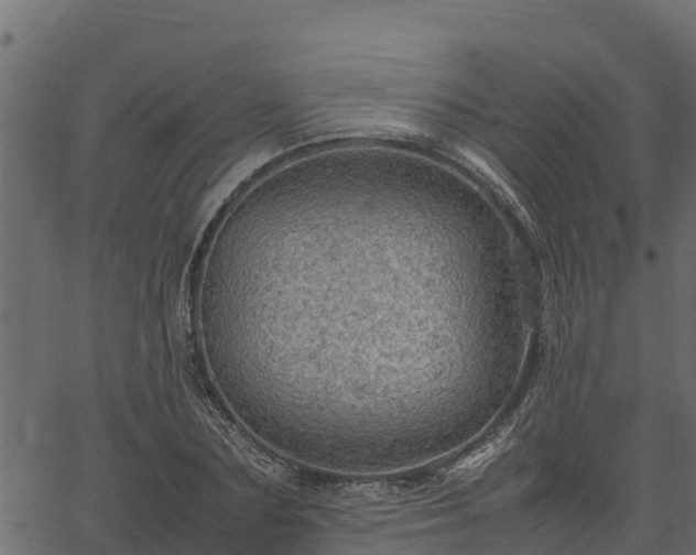 X0000066940883200603311414