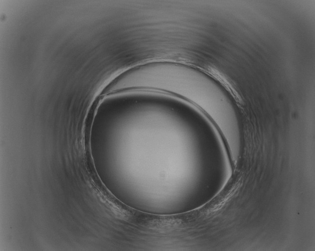 X0000066940884200603311414