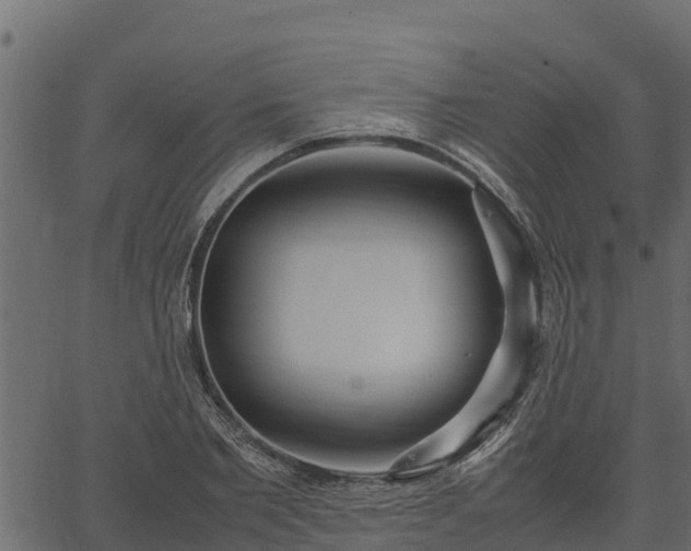 X0000066940885200603311414