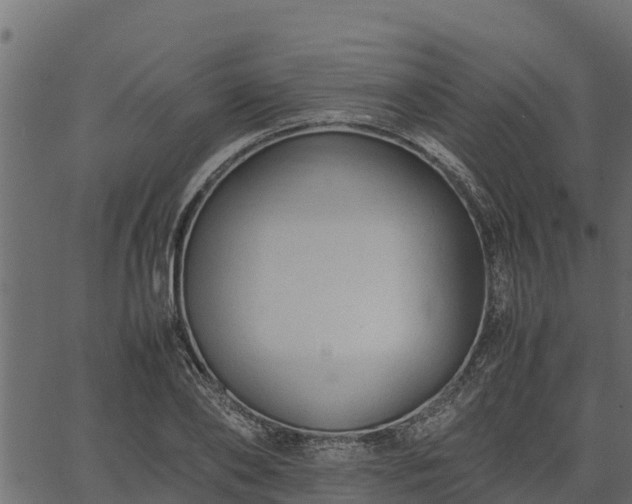 X0000066940886200603311414