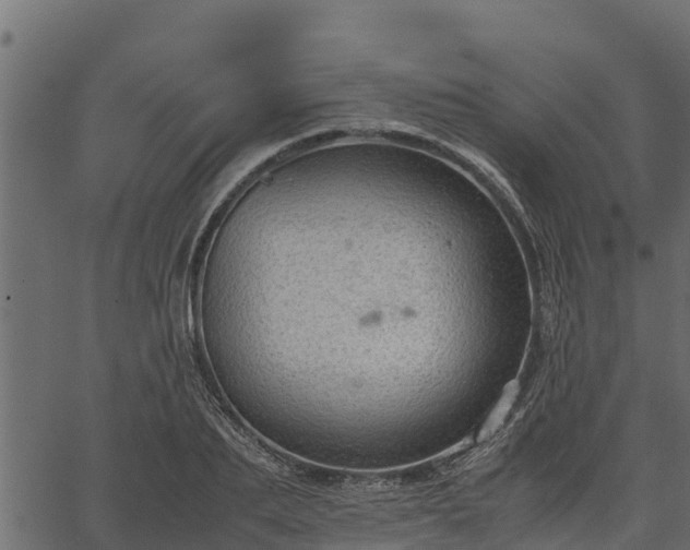 X0000066940887200603311414