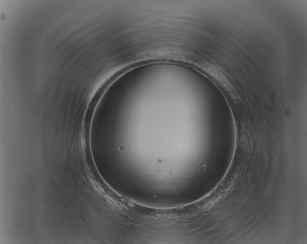 X0000066940888200603311414