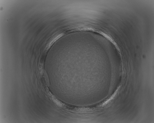 X0000066940889200603311414