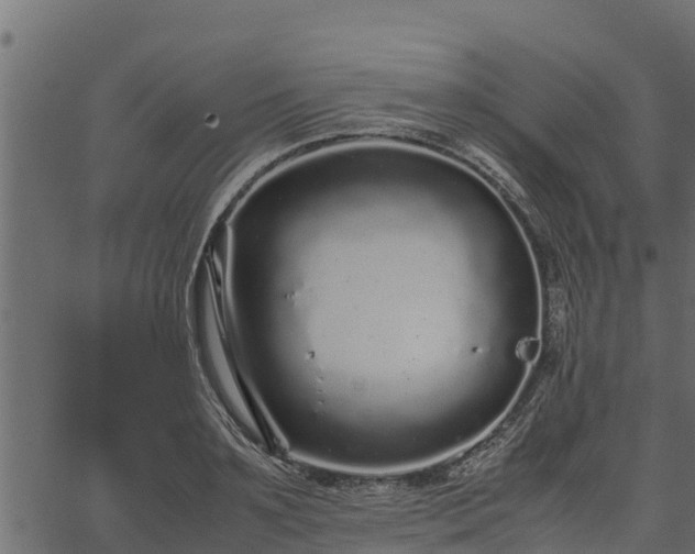 X0000066940891200603311414