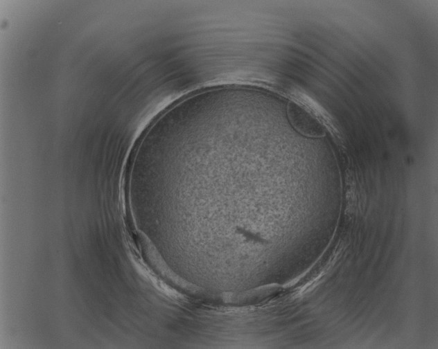 X0000066940892200603311414