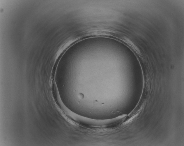 X0000066940893200603311414