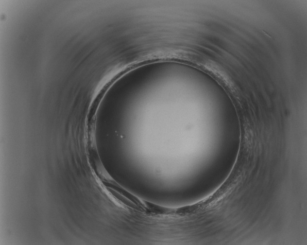 X0000066940894200603311414