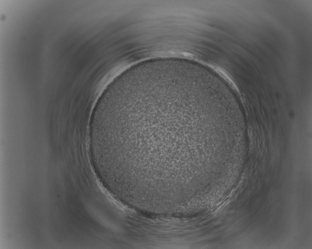 X0000066940895200603311414