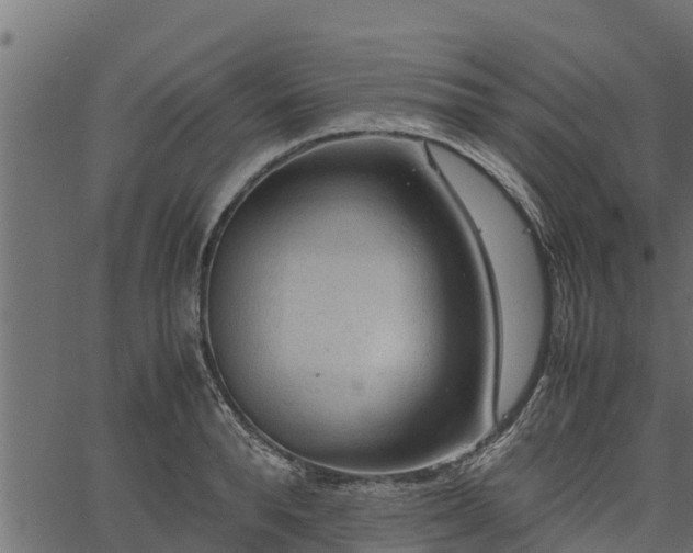 X0000066940896200603311414