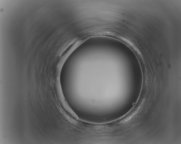 X0000066940897200603311414