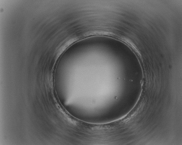 X0000066940898200603311414