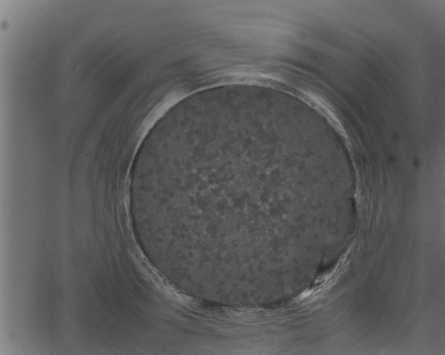 X0000066940899200603311414