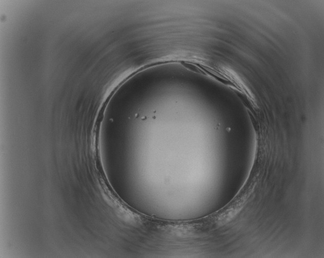 X0000066940900200603311414