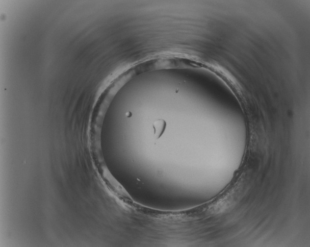 X0000066940902200603311414