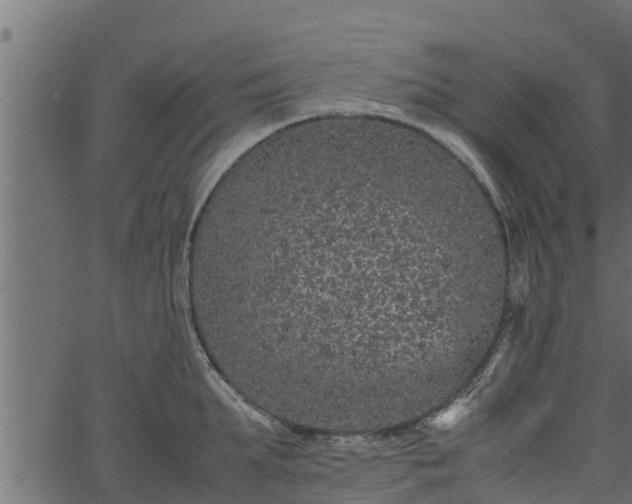 X0000066940903200603311414