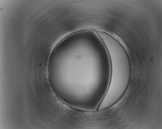 X0000066940904200603311414