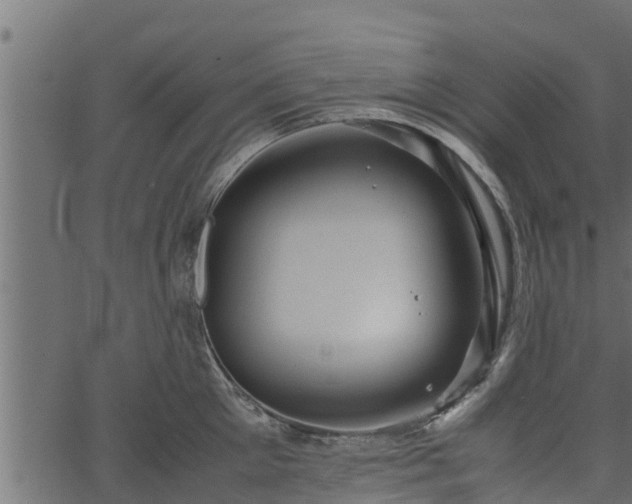 X0000066940905200603311414