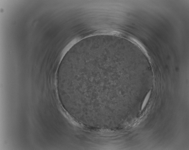 X0000066940907200603311414