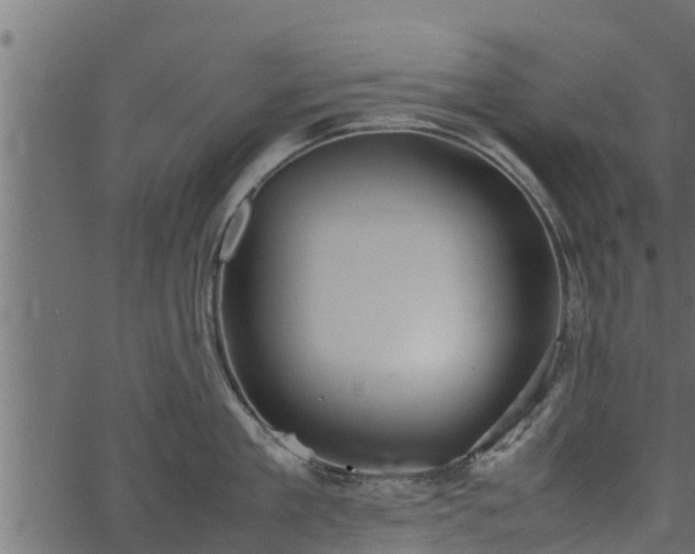 X0000066940909200603311414