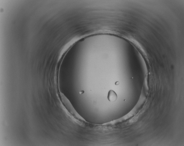 X0000066940910200603311414