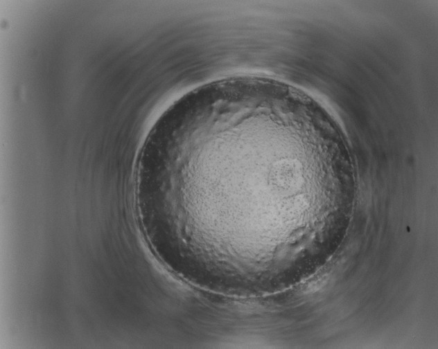 X0000066940911200603311414