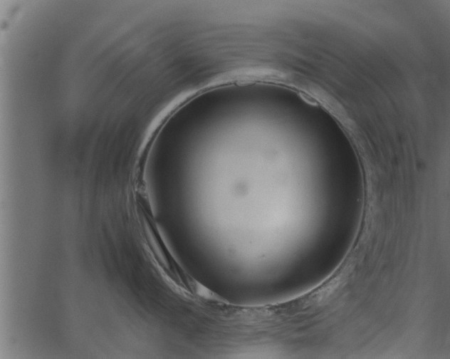 X0000066940912200603311414