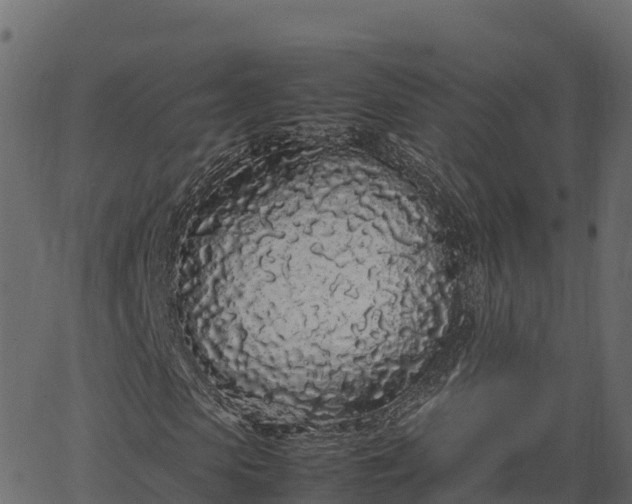 X0000066940913200603311413