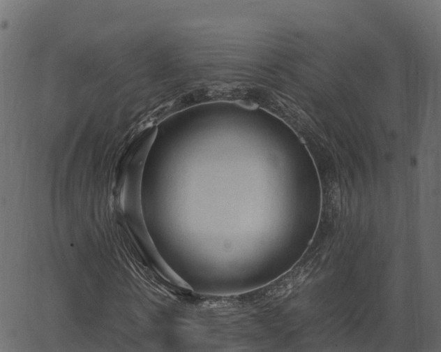 X0000066940914200603311413